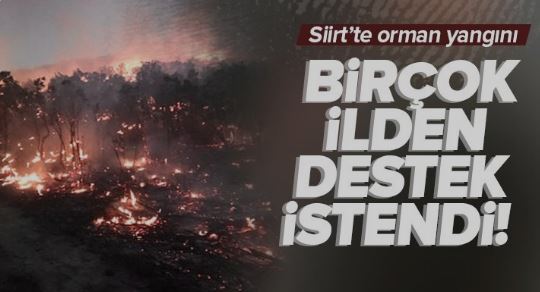 Siirt’te orman yangını!