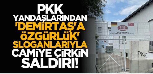 PKK yandaşlarından 