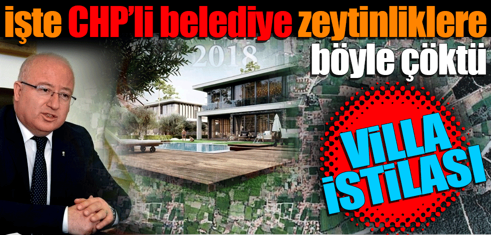 İşte CHP’li belediye zeytinliklere böyle çöktü: Villa istilası