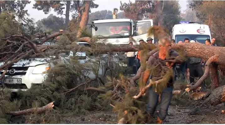 Çanakkale