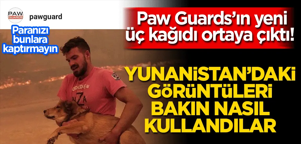 Paw Guards’ın yeni üç kağıdı ortaya çıktı!