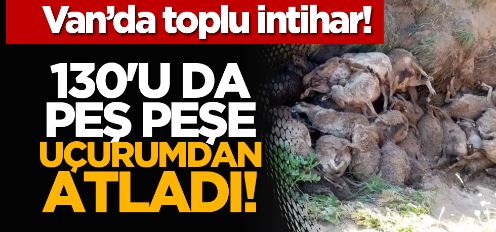 Van’da toplu intihar!