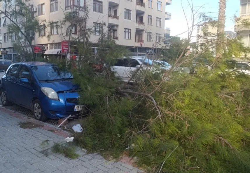 Mersin’de fırtına ağaçlar devrildi, araçlar zarar gördü camlar kırıldı