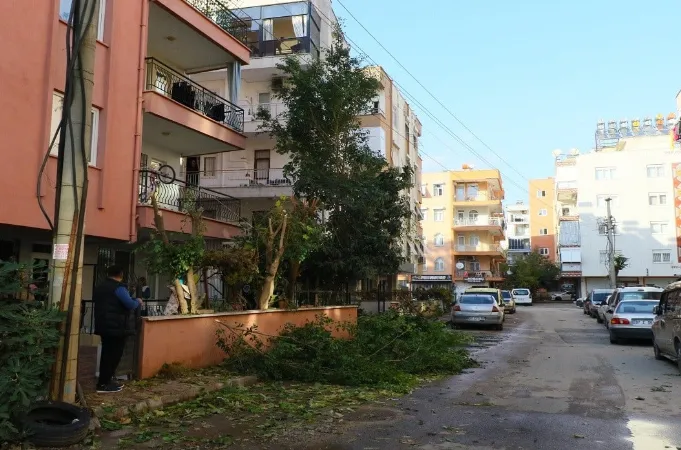 Şaka değil gerçek! Ağaç dallarını keseyim derken olanlar oldu