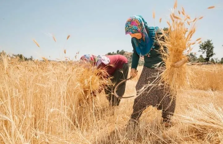 Seçer önderliğindeki proje üreticiye umut, belediyelere rol model