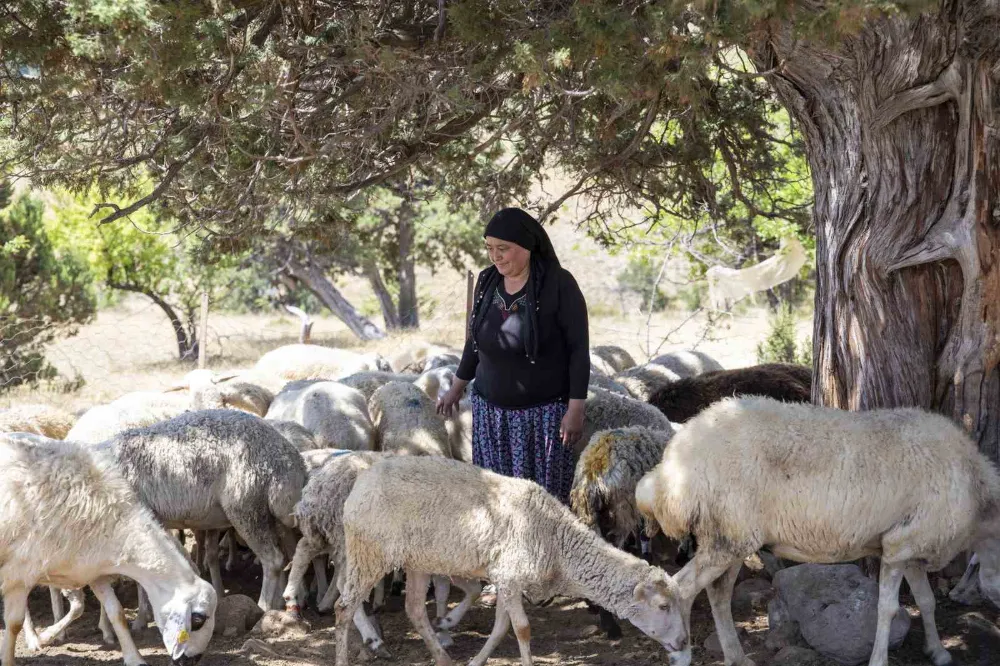 Aldığı küçükbaşlarla evinin geçimini sağlıyor