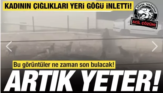 Ankara’da korkutan görüntü! Kadın canını zor kurtardı