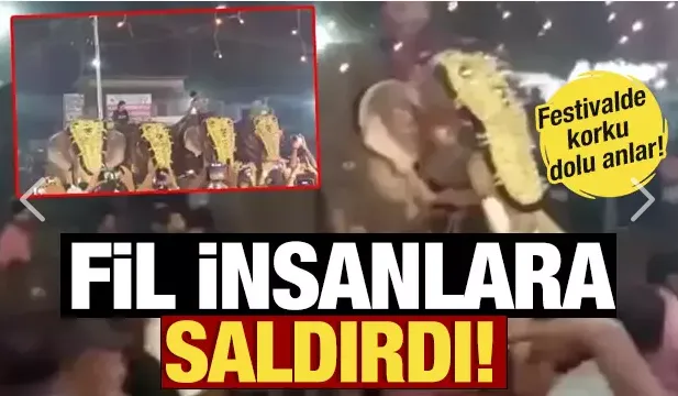  Festivalde insanlara fil saldırdı: 17 yaralı