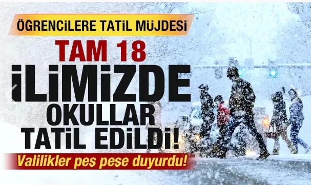 Valilikler peş peşe duyurdu! 17 ilimizde okullar 1 gün tatil edildi