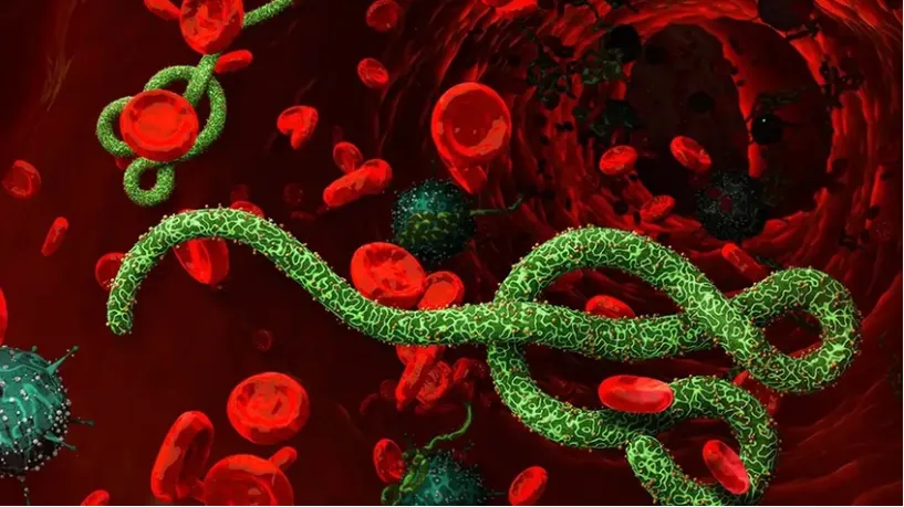 Ebola salgını paniği! Bir sağlık çalışanı hayatını kaybetti