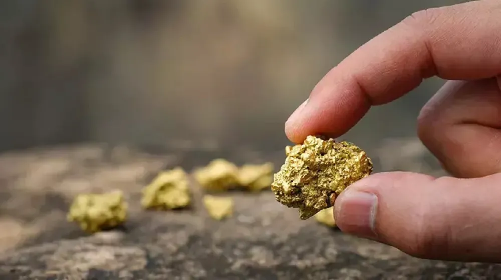 Tarladan Servet Fışkırdı! Değeri 4 Milyar Euro!