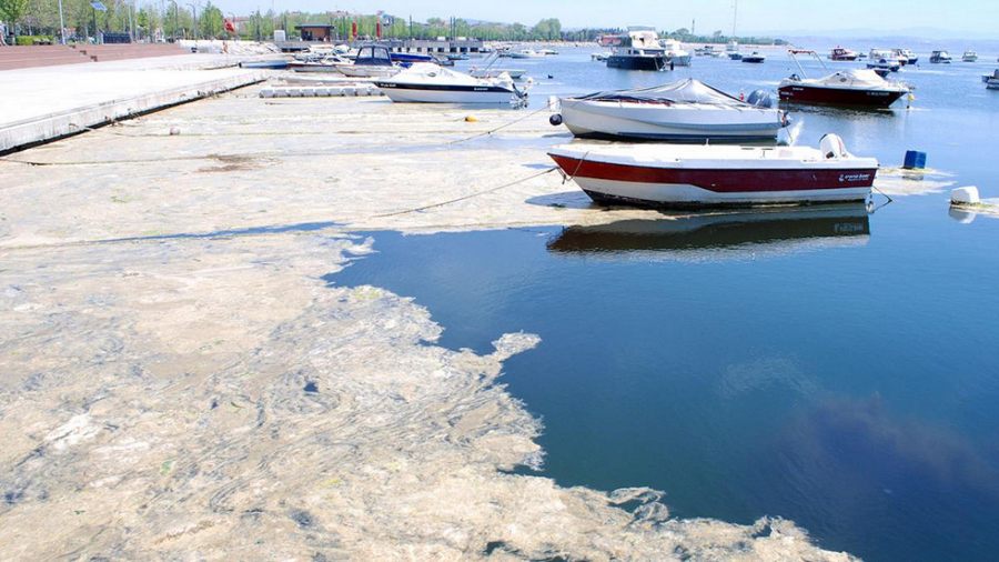 Müsilajli denizde yüzülebilir mi?