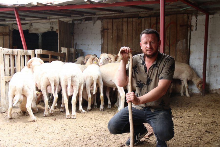 Üreticiden küçükbasta düsük fiyatli hayvan uyarisi