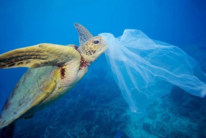 Avrupa Birligi plastiksiz döneme geçiyor