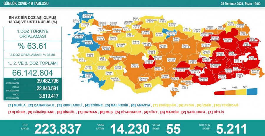 Karadeniz’de asilamada 10 il sari, 5 il turuncu, 2 il kirmizi, 1 il de mavi