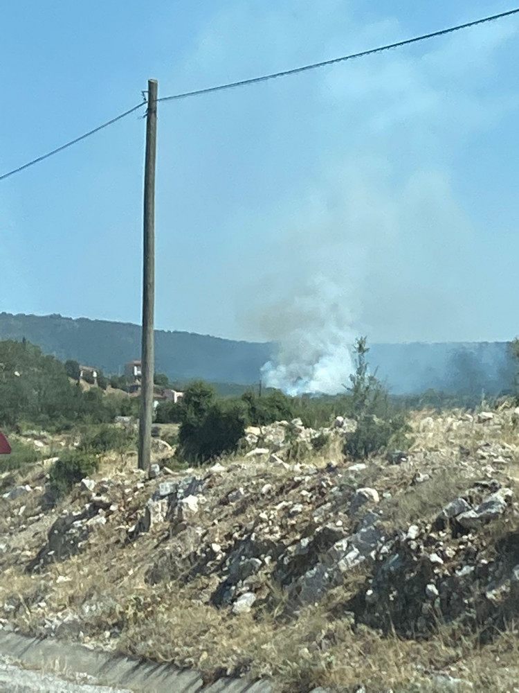 Denizli’de yerlesim yerine yakin alanda orman yangini çikti