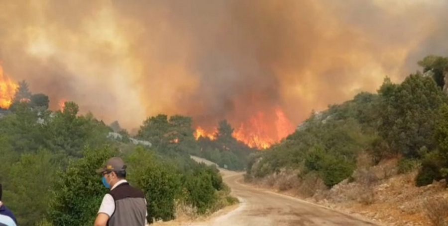 Manavgat’ta yükselen alevler yüzünden köy bosaltildi