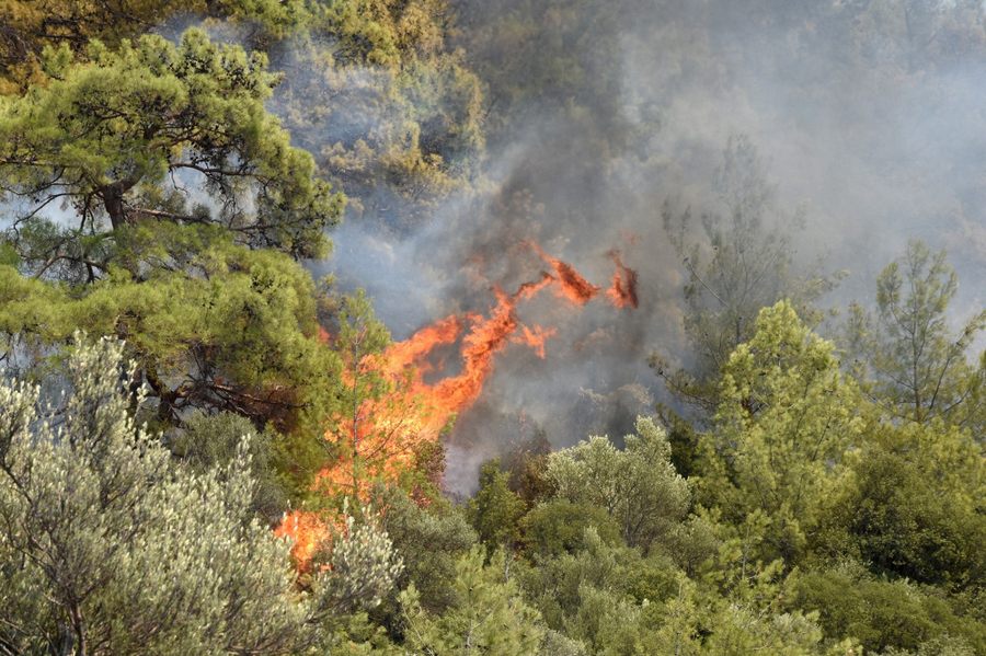 Dalaman’da da yangin basladi