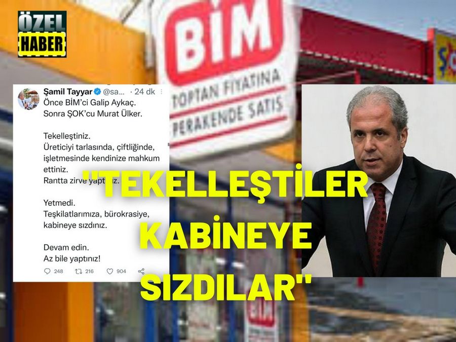 Samil Tayyar: Tekellestiler Kabineye Sizdilar