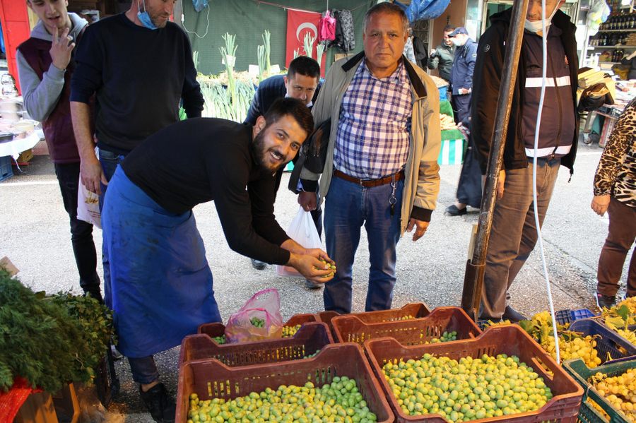 Günde Yedi Zeytin Yiyip Alzheimerdan Korunun