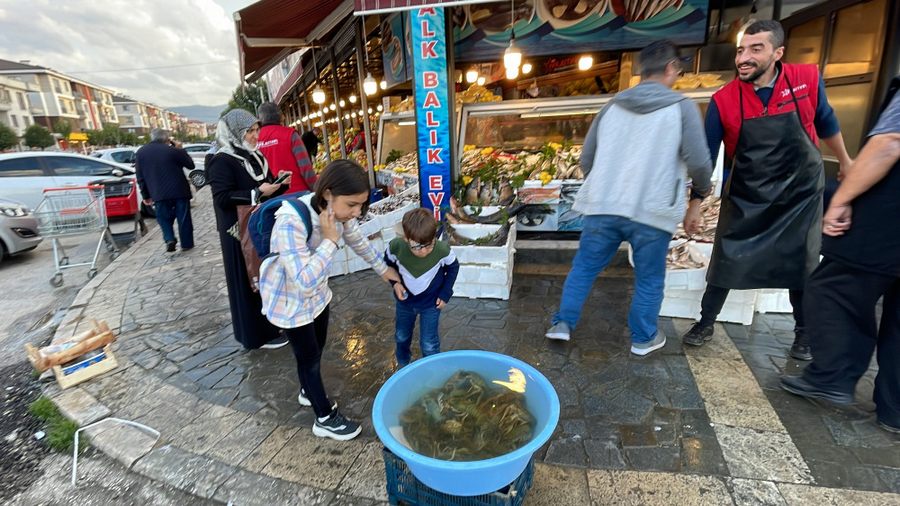 Tezgahta 30, Masada 500 Lira