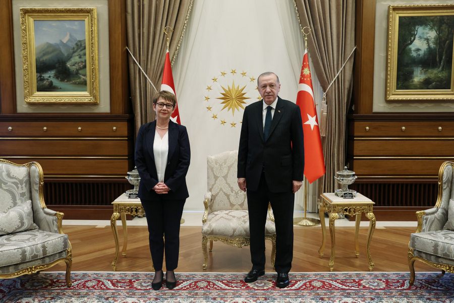 Cumhurbaskani Erdogan, Renaud-Bosso
