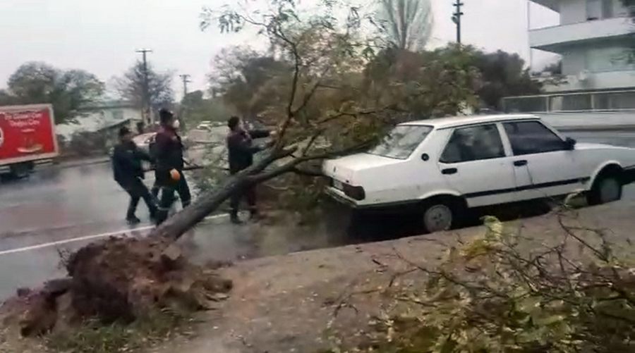 Firtinada agaç kökünden söküldü, aracin üzerine devrildi