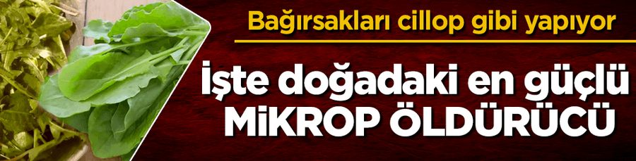 Iste dogadaki en güçlü mikrop öldürücü