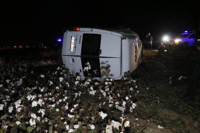 Kaçak göçmen tasiyan minibüs polisten kaçarken pamuk tarlasina devrildi