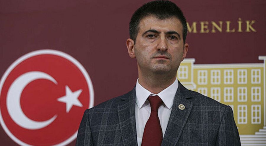 Mehmet Ali Çelebi, Memleket Partisi