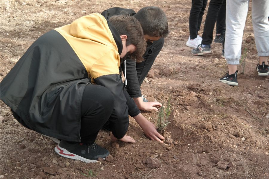 Ögretmenlerine bir çiçek yerine çiçek bahçesi hediye ettiler