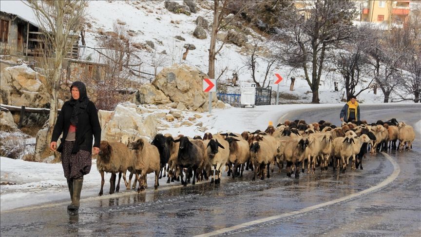 Toroslar beyaza büründü! Yörükler sahil kesimine göç ediyor...