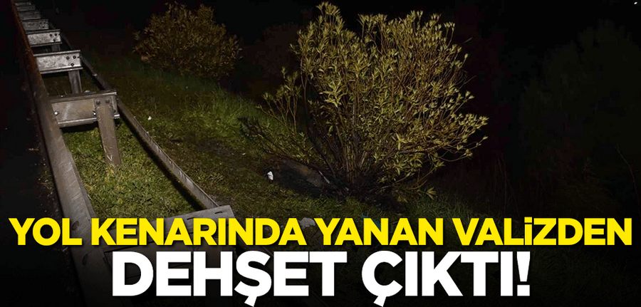 Valizden erkek cesedi çikti!